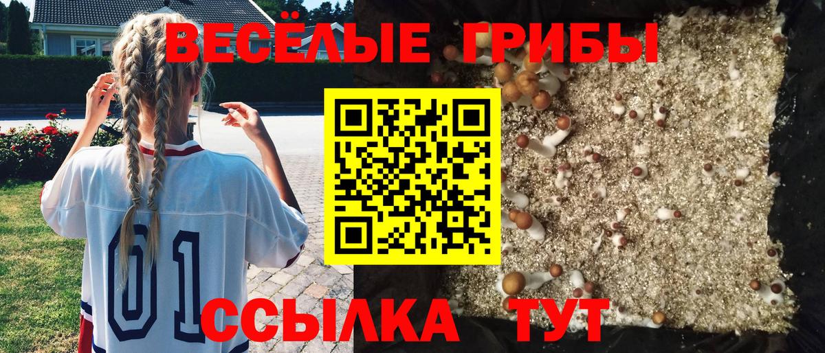 Галлюциногенные грибы прущие грибы  Вход с VPN  Псилоцибиновые грибы мицелий  Елец 